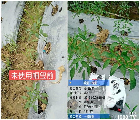 �îa(ch��n)Ʒ�����ã���һ�t���΢������������t���͑��挍������