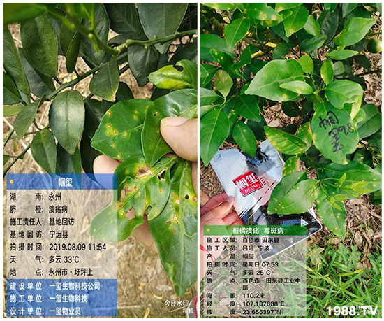 �îa(ch��n)Ʒ�����ã���һ�t���΢������������t���͑��挍������