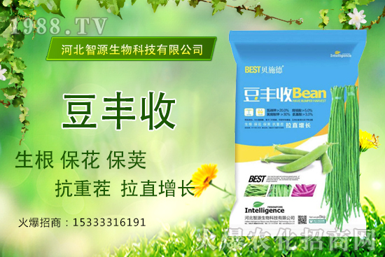 ���ˡ����S�ա���������ֱ���L�a(ch��n)���������S����ʲô��(y��u)����