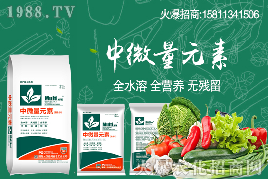 ���؃r(ji��)��