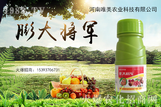 ����(sh��)�����������(sh��)С��ô��Q������(sh��)����ʵ��x������Щ��