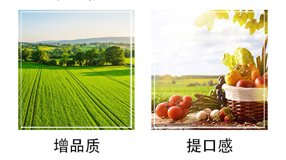 �������(f��)�Ϸ���16-11-23-������_06