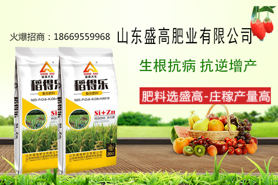 盛高肥業(yè)怎樣，有哪些優(yōu)勢(shì)？公司主打產(chǎn)品有哪些？