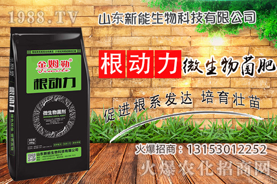 ����������ʲô����ʹ�á�΢������ʡ���ʲô��(y��u)�ݣ�