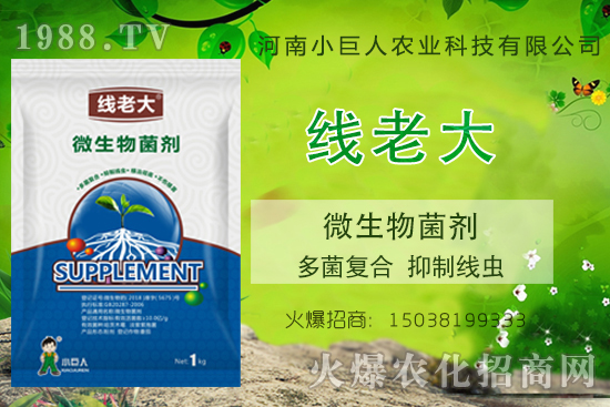 ���Y(ji��)���xզ���Σ����Y(ji��)���x����-�����ϴ󡱶����(f��)�������ƾ��x��