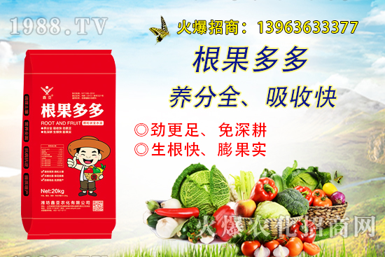 �����������������ô�k����������ࡱ����̽������(sh��)����������B��