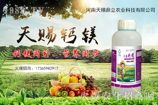 ���n������ʲô��(y��u)�������n�������ƮaƷ����Щ��