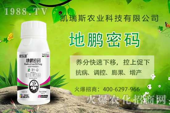 �P��˹�r(n��ng)�I(y��)��ô�ӣ��P��˹�r(n��ng)�I(y��)����a(ch��n)Ʒ����Щ��