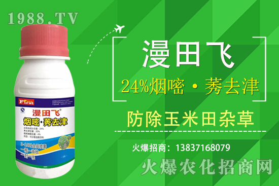 24%���ס�ݬȥ�����Ч���Æ���24%���ס�ݬȥ����ʲô���c��