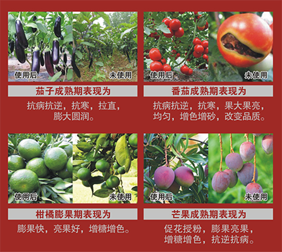 �͑������D