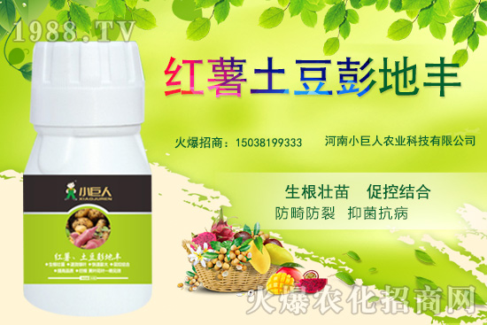 ����С������ô������˾��ʲô��(y��u)�ݣ����Ʈa(ch��n)Ʒ����Щ��