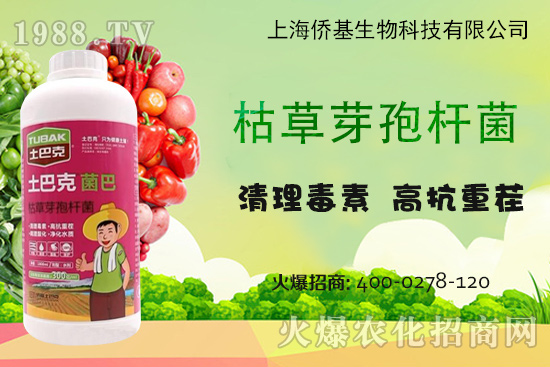 �Ϻ��S�������Ϳˡ�-��ע�����������غ������ޏ�15����