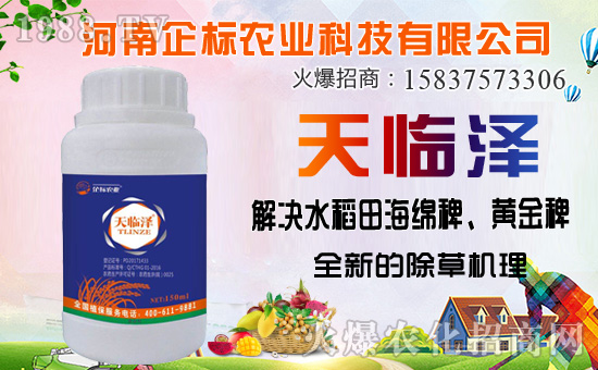 ���ݰ����ݙC�������ݰ��ܷ�����Щ�ݣ�ʹ��ע���������Щ��