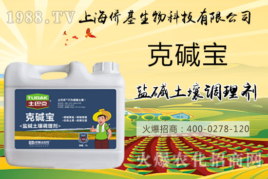 �����}�AΣ���������ˉA���������}�A��߀��һƬ������