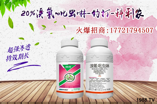 �������x���l(f��)̫���������x��ô��Ч���������x���η�������Щ��