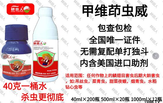 ����Ʒ�r(n��ng)ˎ�������¼Z�}������������ô�������x���a(ch��n)Ʒ����Щ��