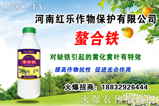 ����(b��o)