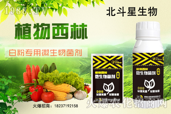微生物菌劑為什么能防治白粉?。堪追蹖Ｓ梦⑸锞鷦┯惺裁刺攸c？