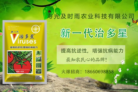 ���Ѳ�������֪���׷N�����Ӻ������η��Ѳ�������(��(n��i)�����η���) 