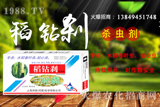 水稻鉆心蟲抗性嚴(yán)重,該如何防治? “稻鉆剎”教您如何消滅!