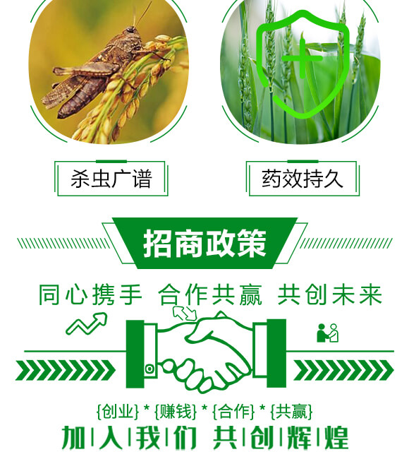 5%ʭ����-��-���A����_04