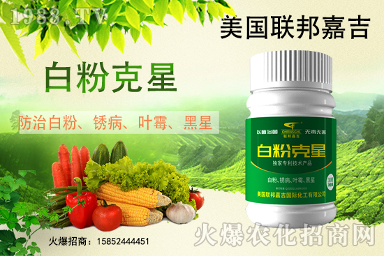 �׷۲����݁��u������(f��)�l(f��)������β���ô������׷۲������]��