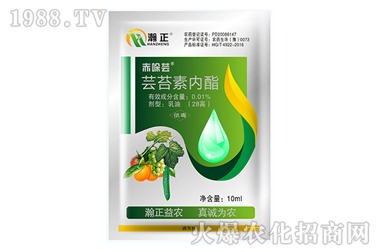 �|̦�؃�(n��i)����ʲô��(y��u)��(sh��)���|̦�؃�(n��i)����(f��)�䷽������Щ��