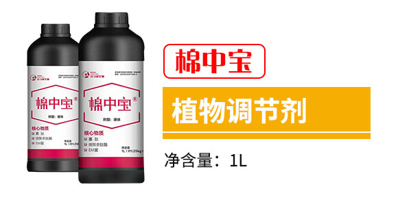 ���Ќ�-������_03