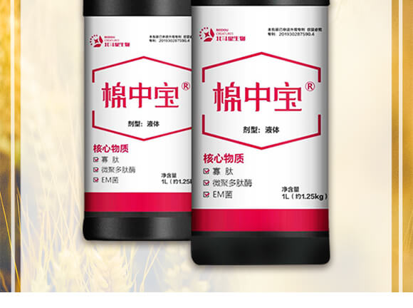 ���Ќ�-������_02