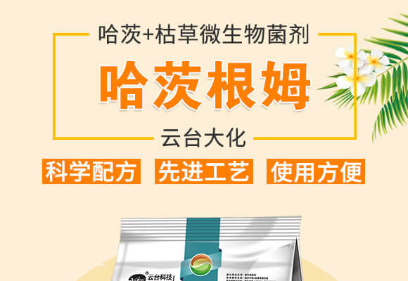 ���ĸ�ķ-���_(t��i)��_01