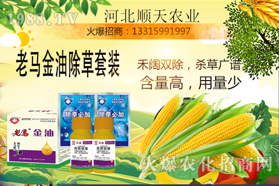 ����������������Ч�������׳����P(gu��n)�I�c(di��n)��R����