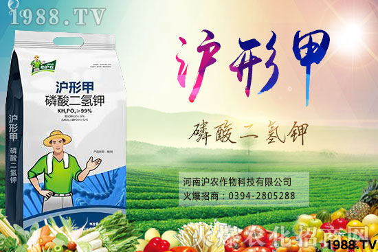 ��������-���μ�-�Ĝ��r