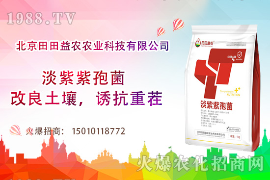 ���t��������c����Щ�����t���ļ���ι�����