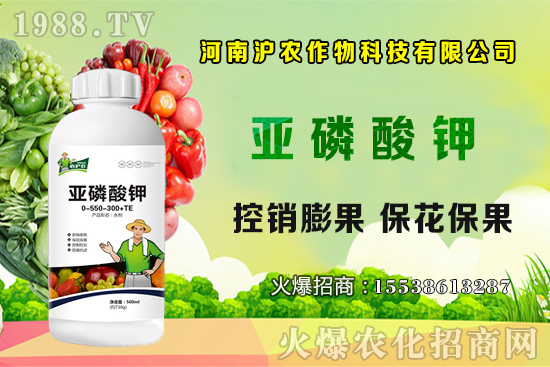 ���[����Ҫ�c��֪���᣿���[��Ҋ���x������Щ����η�����