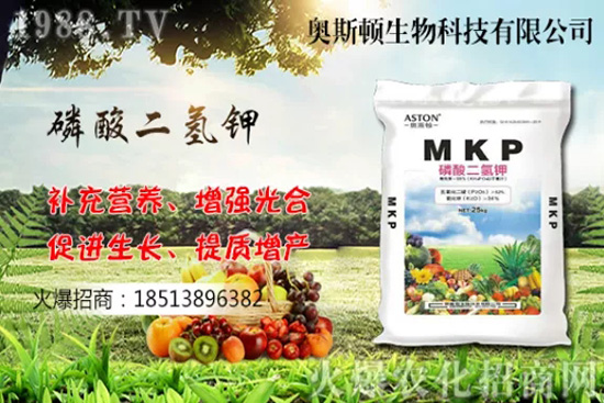 �Ă�(g��)Ʒ�N�����Ӹ��ó����҇����Ӯa(ch��n)�ؼ�Ʒ�N����Щ��