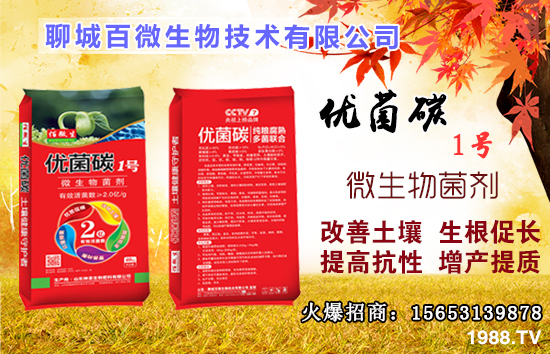 ��Ԫ����ʲô����������ȱ����ʲô�����ʲô�r(sh��)���a(b��)����