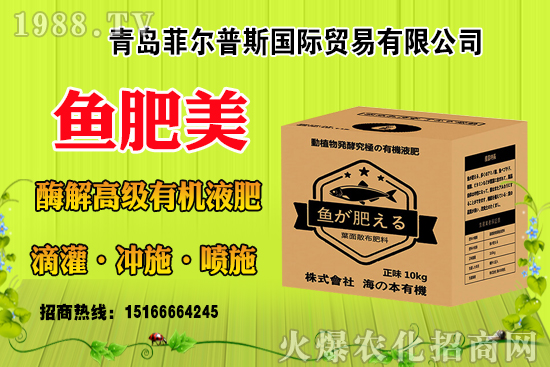 ���׽Y(ji��)��(sh��)����ɶԭ�����з��a(b��)�Ȇ������׽Y(ji��)��(sh��)�������ƴ�ʩ��