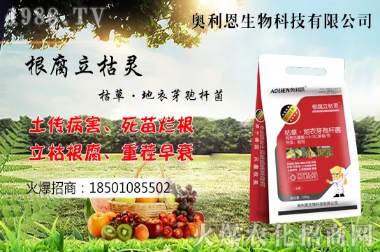 �S����ʲô����(ji��)�������S���˷Nֲ������B��