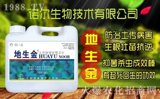 �S���˷N����ô�ɼ����S���˷N��r(ji��)������Xһ����