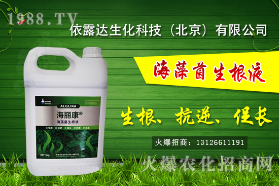 �J��������ЩƷ�N���J���Һ��殐����ʲô�^(q��)�e��