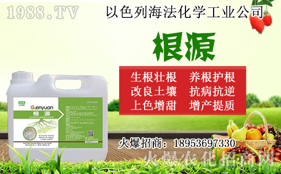 無(wú)花果怎么扦插？無(wú)花果扦插時(shí)間及扦插繁殖方法！