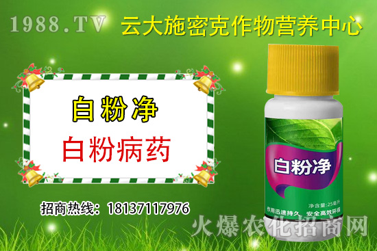 ʲô��ֲ��Դ�r(n��ng)ˎ��ֲ��Դ�r(n��ng)ˎ�c���W(xu��)�r(n��ng)ˎ�^(q��)�e������