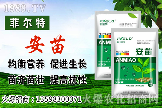 ���\�����L���h(hu��n)����Ҫ�������\���Nֲ�����ռ��g(sh��)��