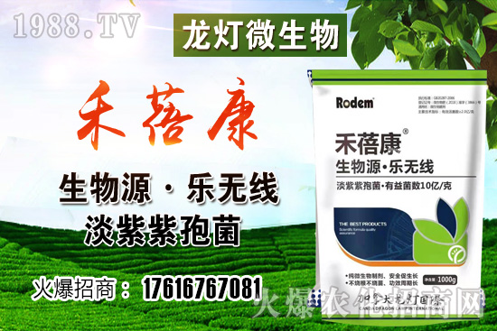 ���t���ڷ۷����������t��¶��ʹ���Nֲ�кβ�ͬ��