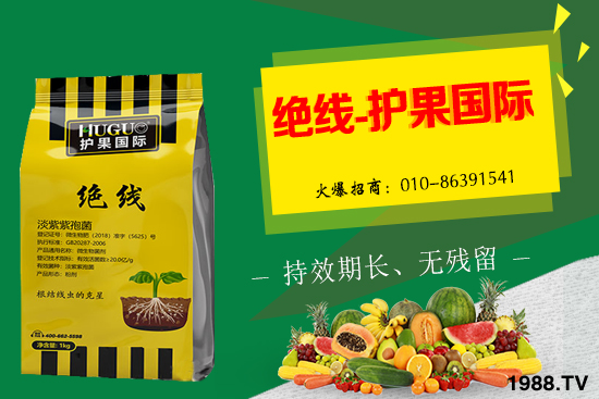 �Ә����L�l������Щ���Ә�����������g��