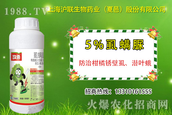 �����P��ʭ��ʲô�Y������ô�����������P��ʭ��ˎ���]