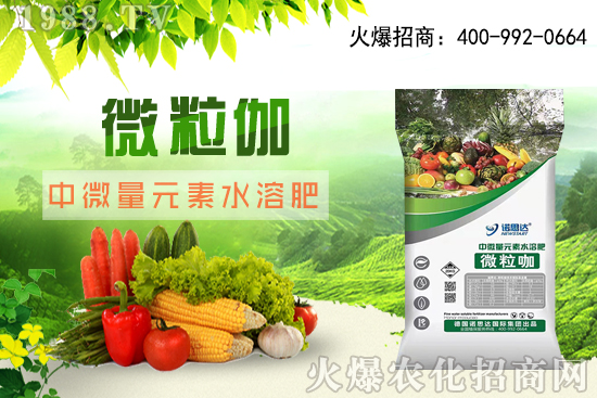 ����ԓ��ô���磬��������r�g������ע��Ҫ�c��