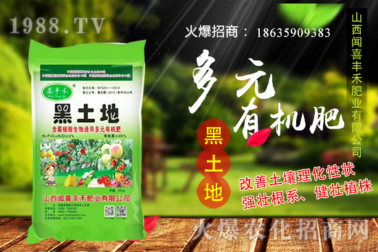 生姜如何選種，生姜什么時(shí)候種植？種植前需注意哪些問題？