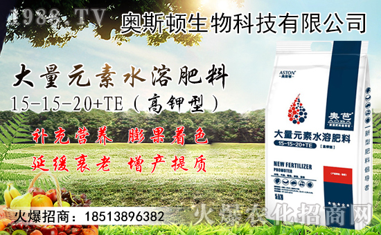 �����޽ӷ�������Щ�������޽ӳɻ��������ߣ�