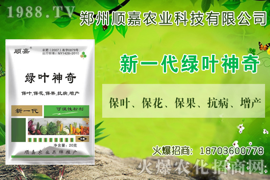 С���r(ji��)���B�B�ϝq���F(xi��n)��һ������X��